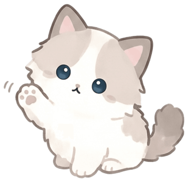 先輩猫